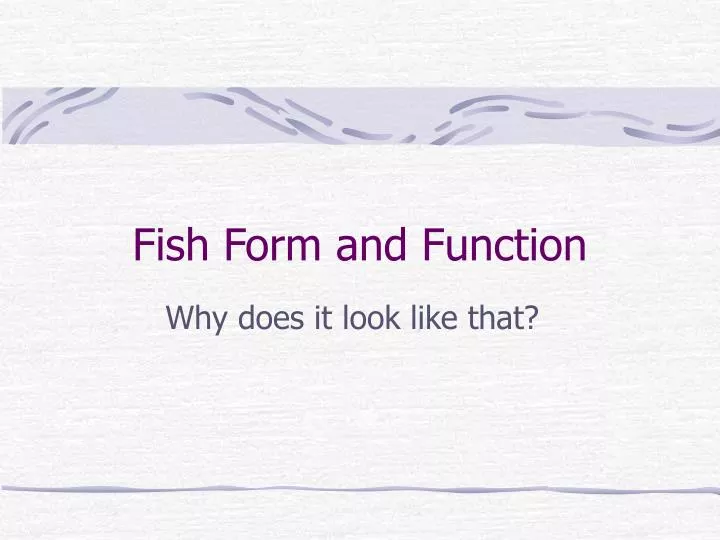 fish form and function