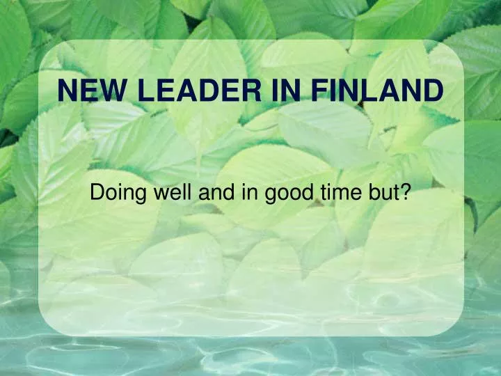 new leader in finland