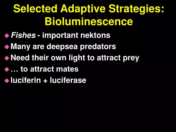 selected adaptive strategies bioluminescence