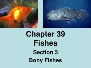Chapter 39 Fishes