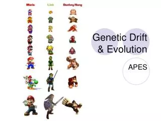 genetic drift evolution