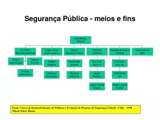 seguran a p blica meios e fins
