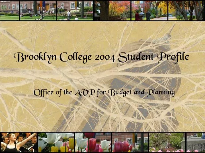 brooklyn college 2004 student profile