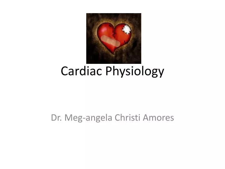 cardiac physiology