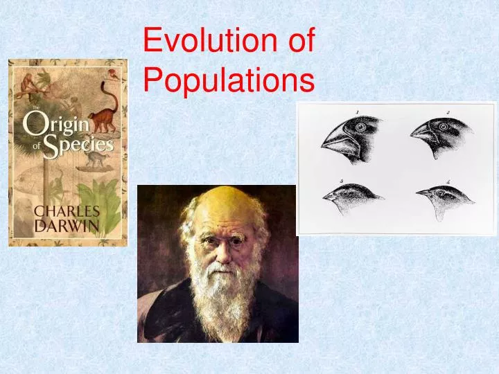 PPT - Evolution Of Populations PowerPoint Presentation, Free Download ...