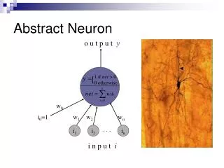 Abstract Neuron