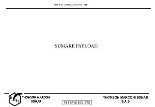 SUMARE PAYLOAD