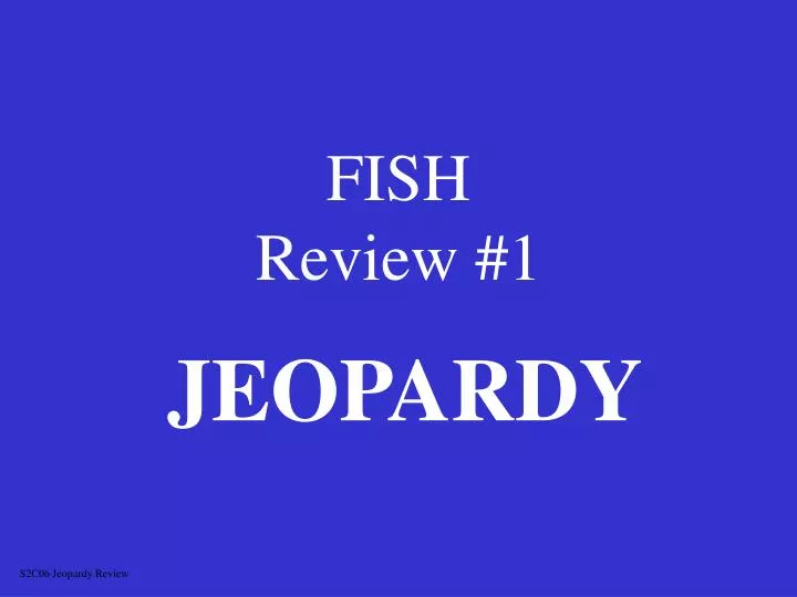 fish review 1