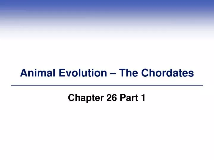 animal evolution the chordates