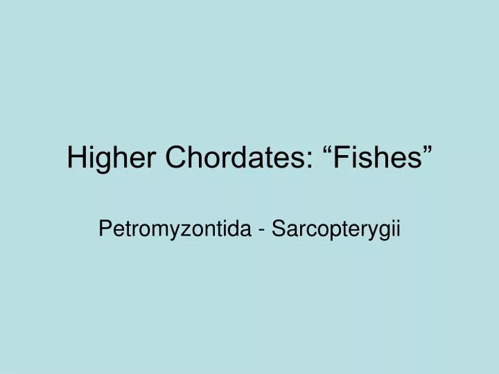 higher chordates fishes