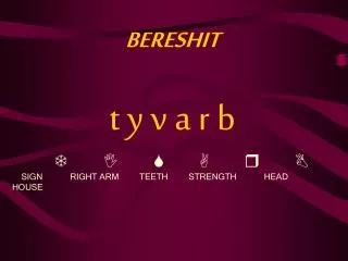 BERESHIT t y v a r b T I S A r B SIGN RIGHT ARM TEETH STRENGTH HEAD