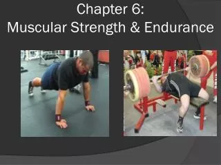 Chapter 6: Muscular Strength &amp; Endurance