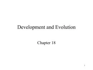 Development and Evolution