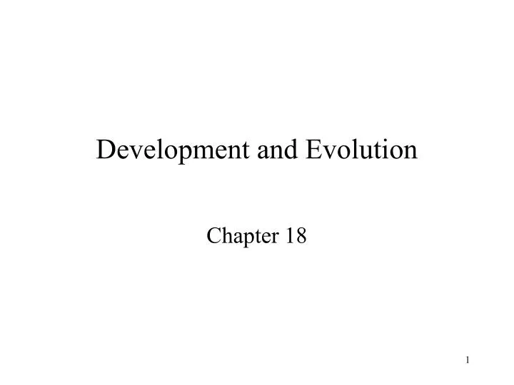 development and evolution