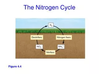 Figure 4.4