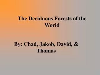 the deciduous forests of the world