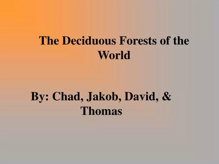 the deciduous forests of the world