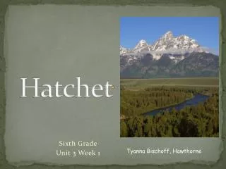 Hatchet