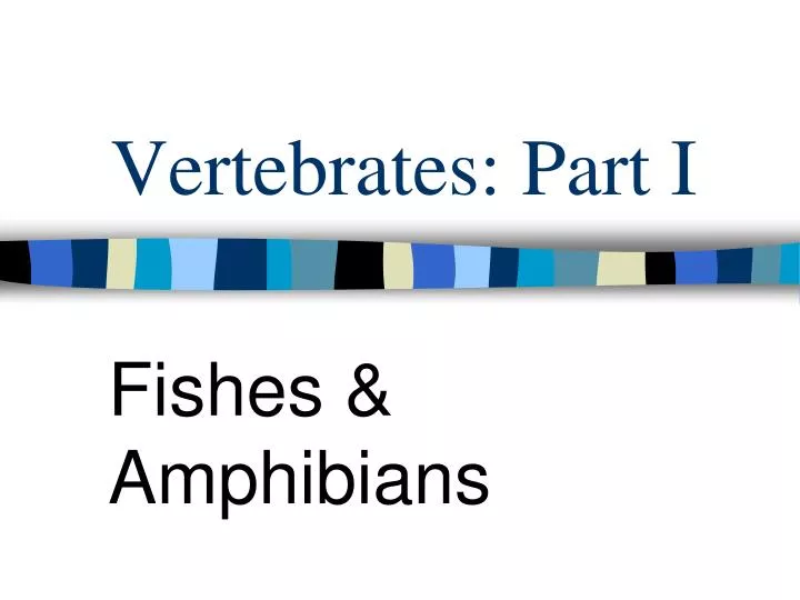 vertebrates part i