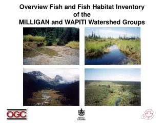 Overview Fish and Fish Habitat Inventory of the MILLIGAN and WAPITI Watershed Groups