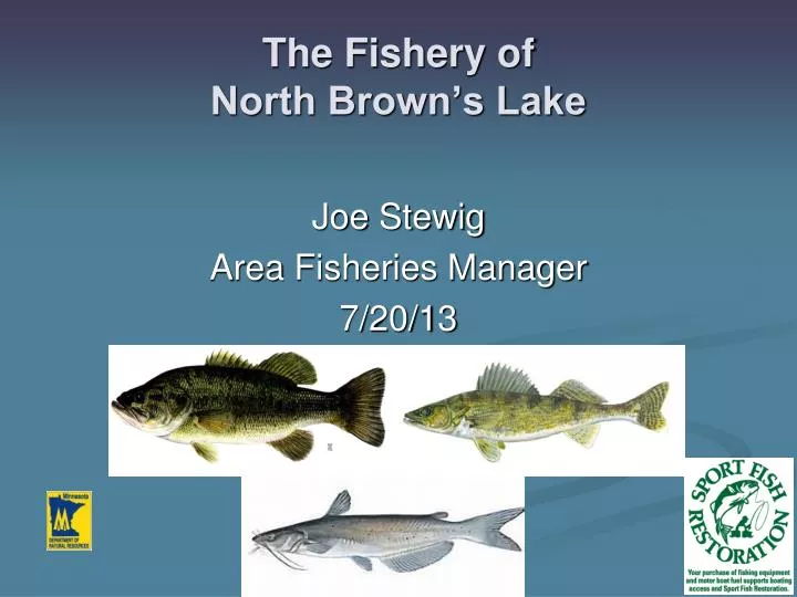 the fishery of north brown s lake