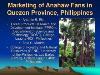 Marketing of Anahaw Fans in Quezon Province, Philippines