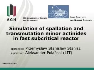 Simulation of spallation and transmutation minor actinides in fast subcritical reactor