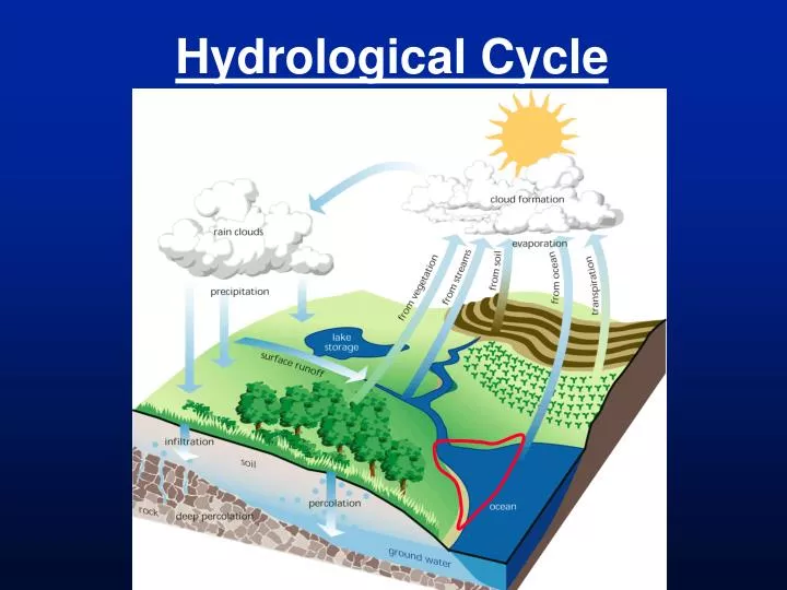 hydrological cycle