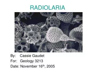 RADIOLARIA