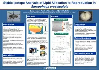 Stable Isotope Analysis of Lipid Allocation to Reproduction in Sarcophaga crassipalpis