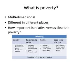 What is poverty ?