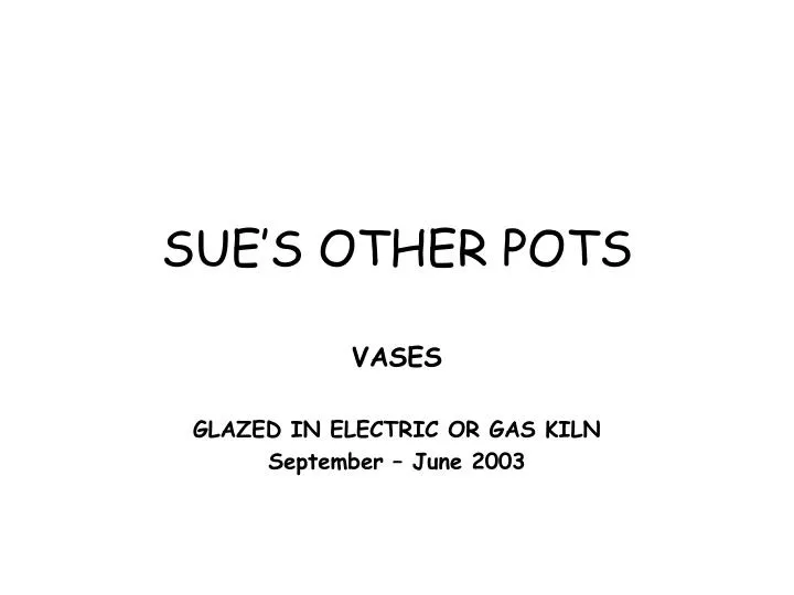 sue s other pots