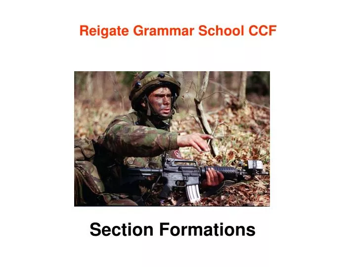 reigate grammar school ccf