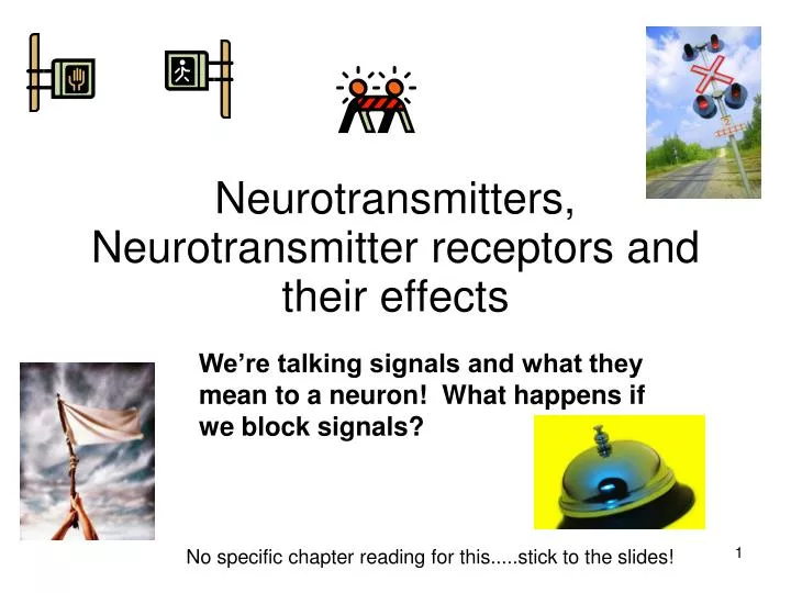 neurotransmitters neurotransmitter receptors and their effects