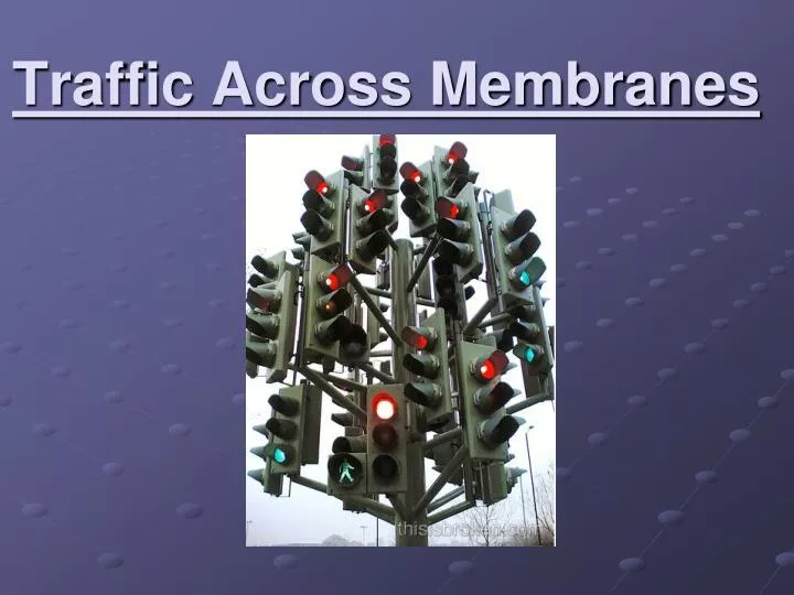 traffic across membranes