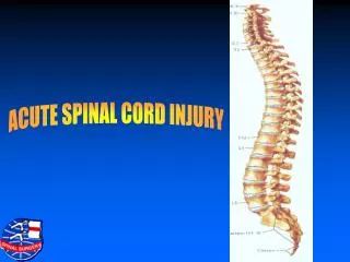 ACUTE SPINAL CORD INJURY