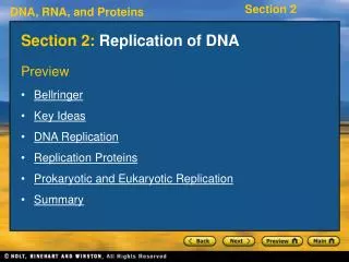 Section 2: Replication of DNA
