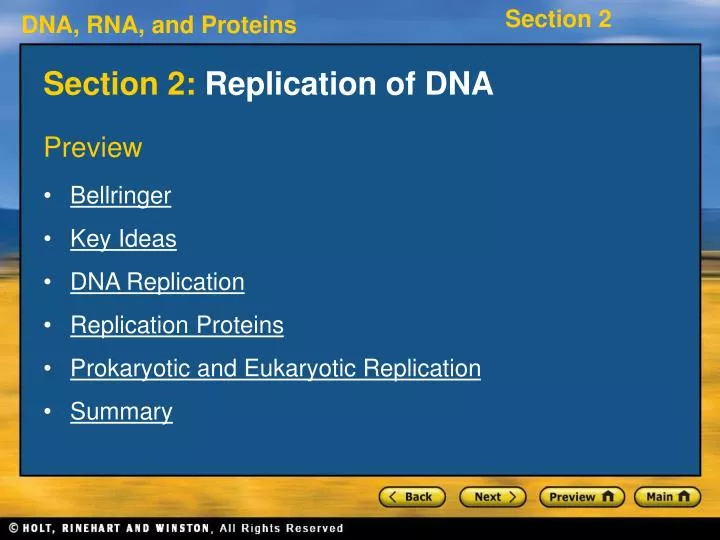 section 2 replication of dna