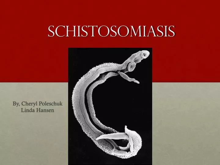 schistosomiasis