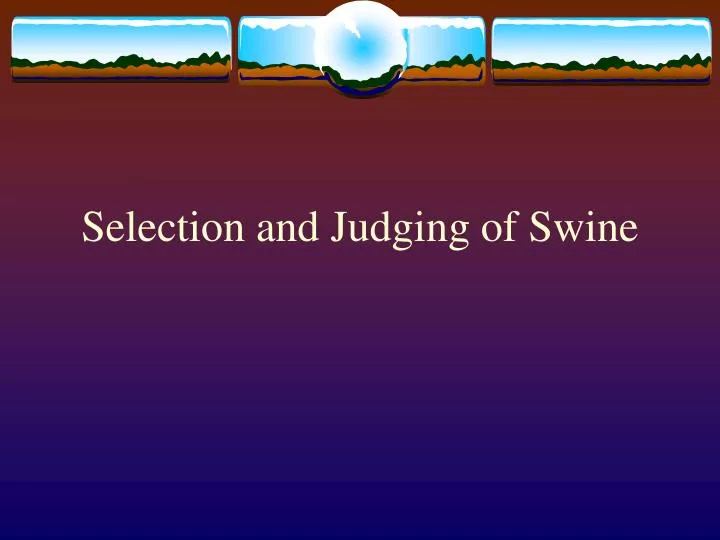 selection and judging of swine