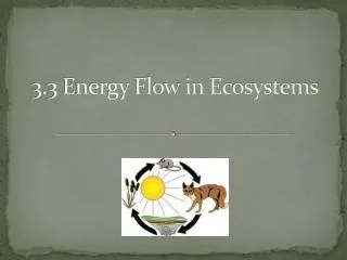 3.3 Energy Flow in Ecosystems