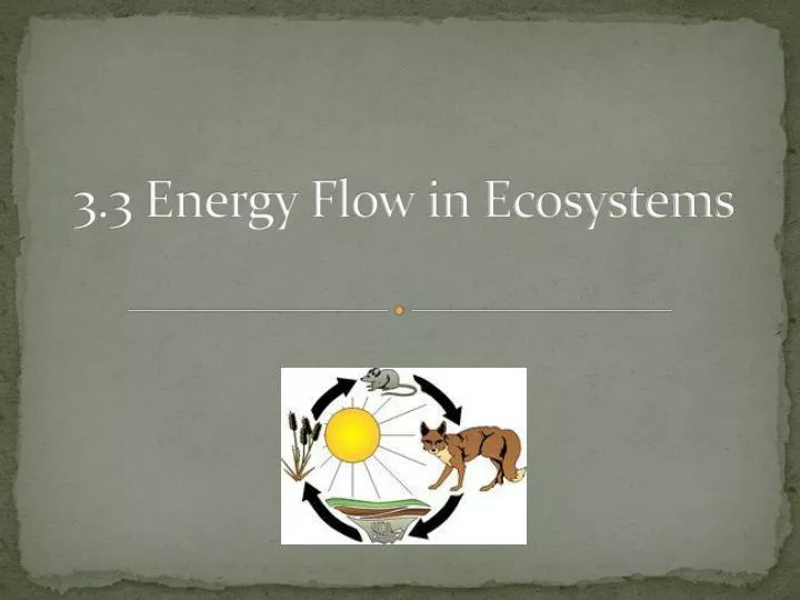 3 3 energy flow in ecosystems