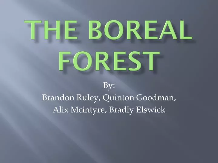 the boreal forest