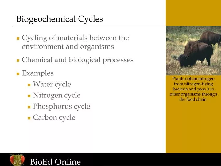 biogeochemical cycles