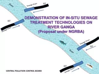 DEMONSTRATION OF IN-SITU SEWAGE TREATMENT TECHNOLOGIES ON RIVER GANGA (Proposal under NGRBA)