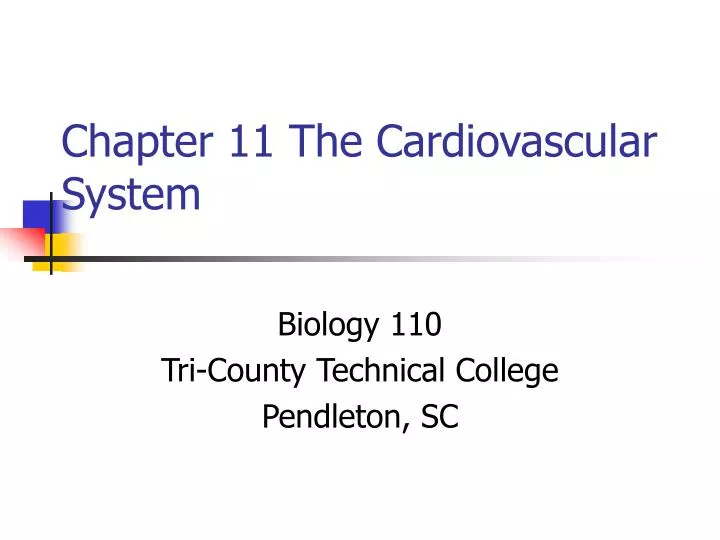 chapter 11 the cardiovascular system