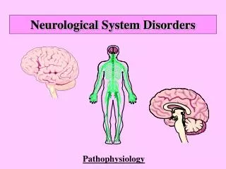 Neurological System Disorders