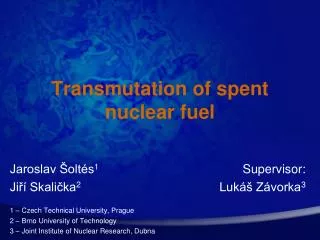 Transmutation of spent nuclear fuel