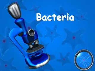 Bacteria