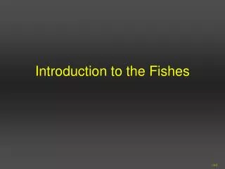 Introduction to the Fishes
